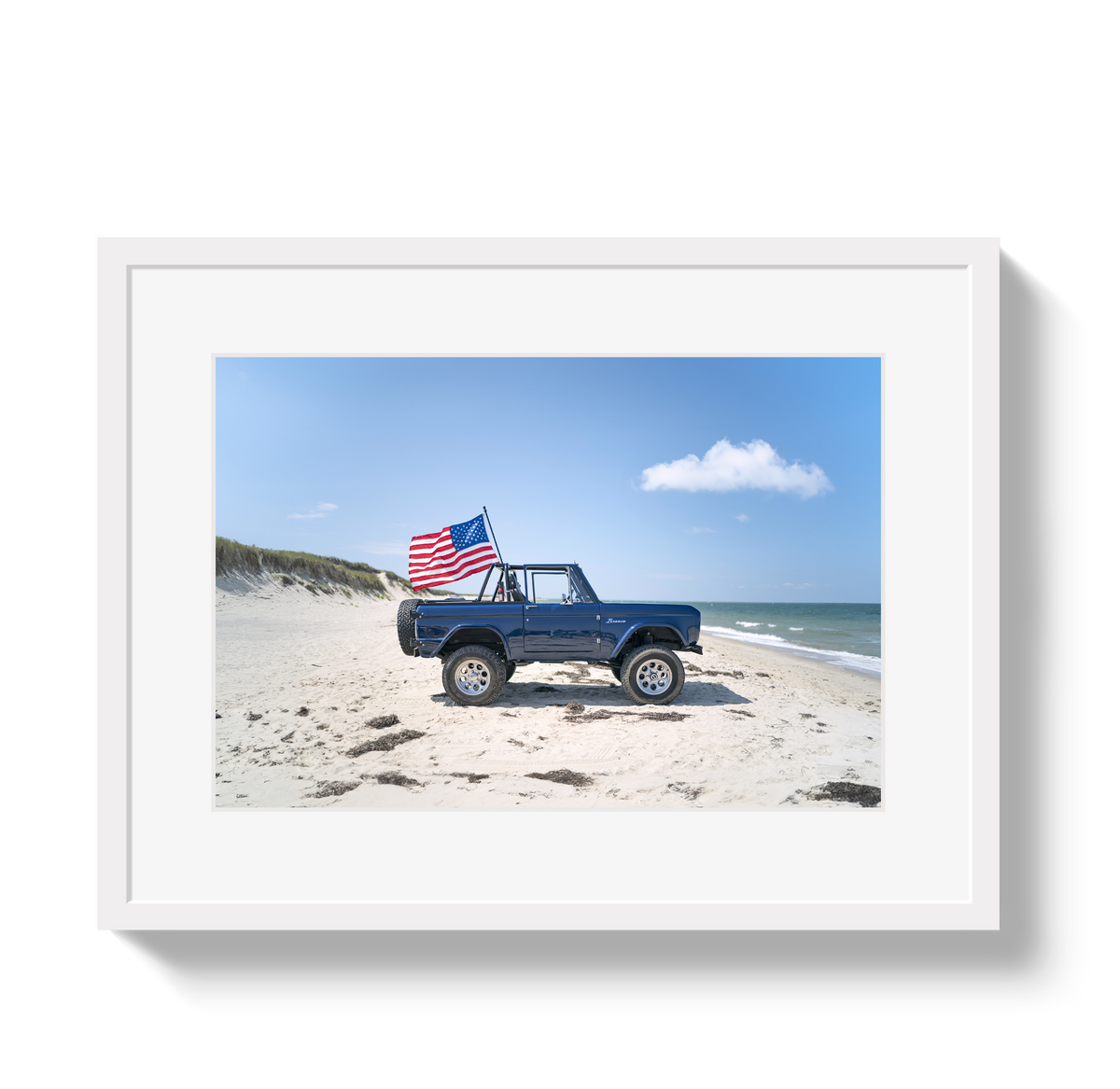 American Bronco