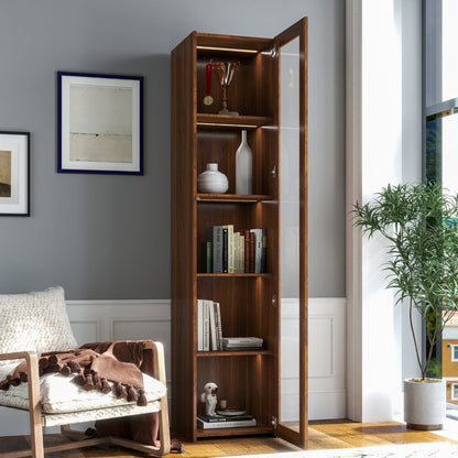 Display Cabinet with Transparent Acrylic Plate Doors