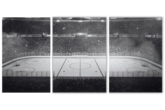 Hockey Rink 3-Pack Bundle