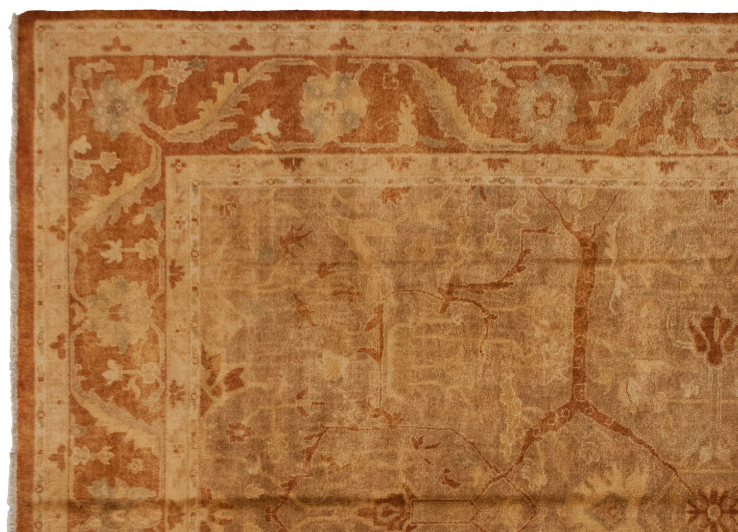 10x13.5 New Gold Wash Indian Oushak Design Carpet