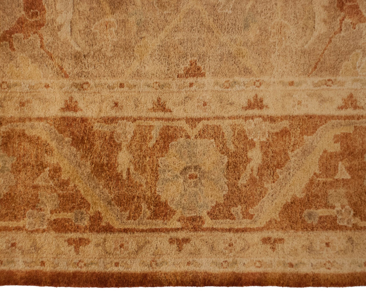 10x13.5 New Gold Wash Indian Oushak Design Carpet